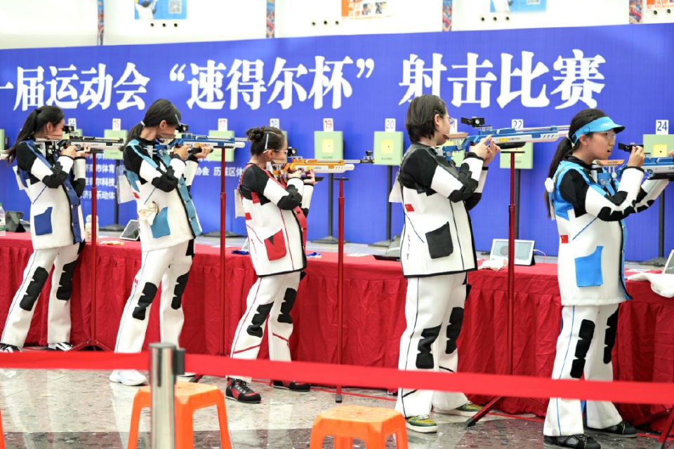 水平, 射击赛事中